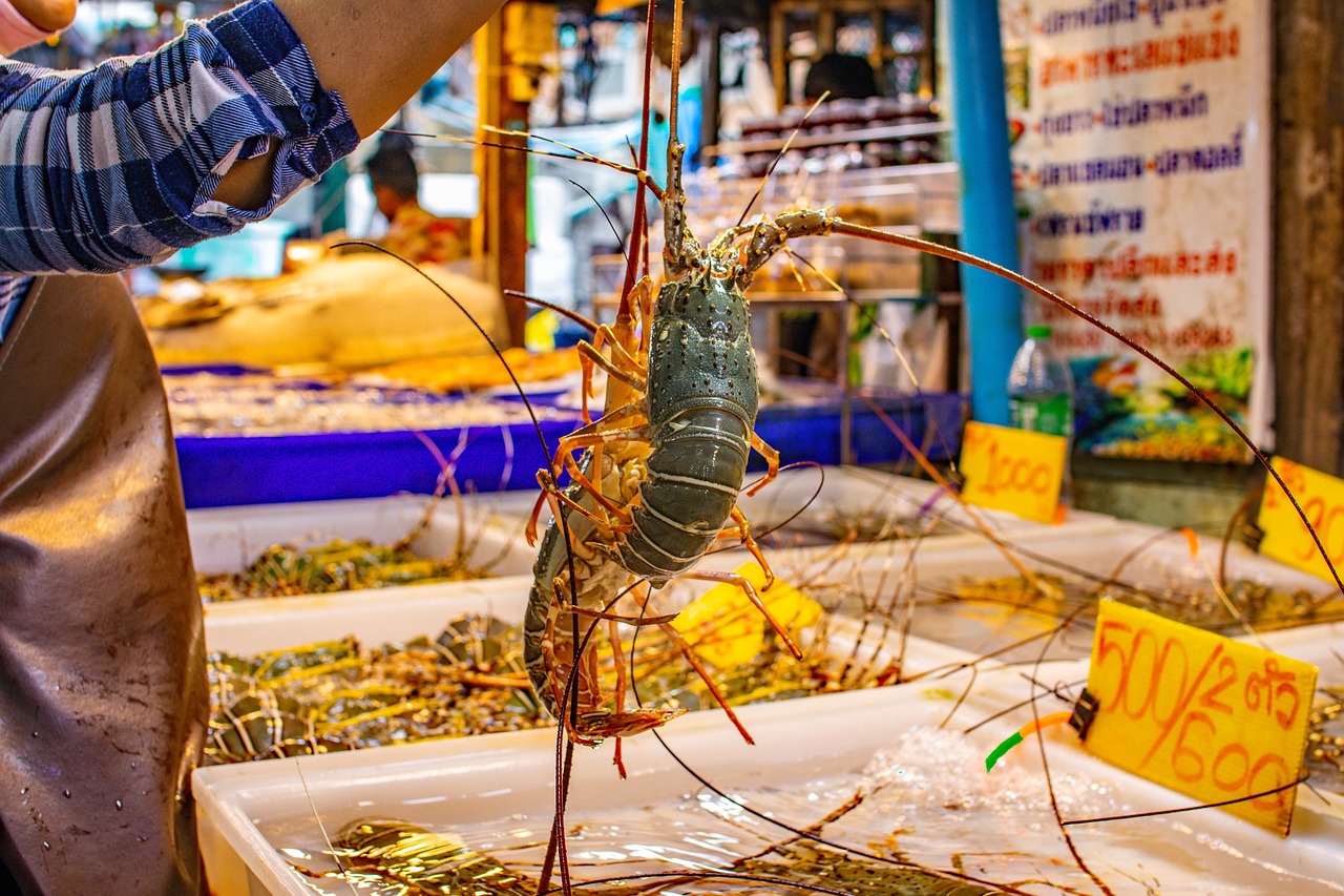 woman, lobster, market, vendor, thai, seafood, food, selling, offer, service, fresh, presentation, fish market, local market, wet market, marketplace, urban, na kluea, pattaya, thailand, asia, closeup, lobster, lobster, lobster, wet market, wet market, pattaya, pattaya, pattaya, pattaya, pattaya