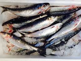 Sardines Fish - Image 2