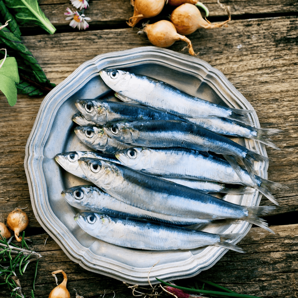 Sardines Fish